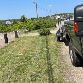 Bush Trimming by T & B Lawn Care reviewed on July 25, 2022