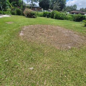 Bush Trimming by GreenLand Landscaping LLC reviewed on May 25, 2022