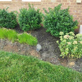 Flower Bed Weeding by Magik Compass LLC reviewed on October 25, 2021