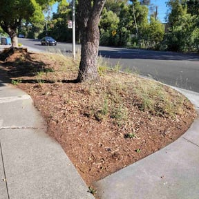 Leaf Removal by Sage Cleaning Services reviewed on April 27, 2022