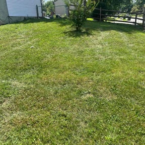 Bush Trimming by Grant Home and Lawn reviewed on June 13, 2022