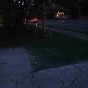 Leaf Removal by Dan's Lawn & Landscaping reviewed on April 21, 2022