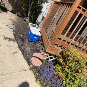 Flower Bed Weeding by Clutch Driver Express LLC reviewed on April 9, 2025