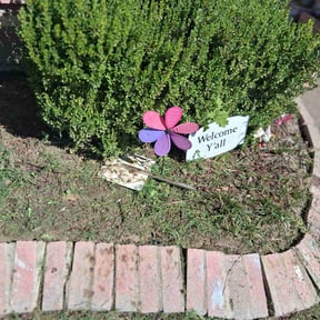Flower Bed Weeding by Valencia Landscaping reviewed on April 13, 2025