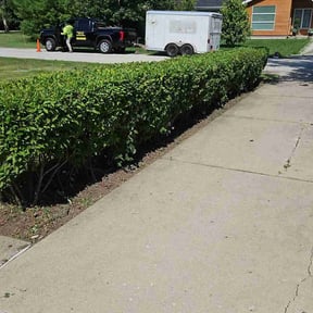 Weeding by Flores Lawn Care Co. reviewed on May 28, 2025