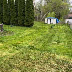 Cleanups by Swift Cleaners and Things reviewed on June 20, 2024