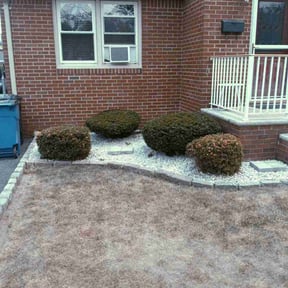 Bush Trimming by Duran Sr. Services reviewed on October 2, 2021