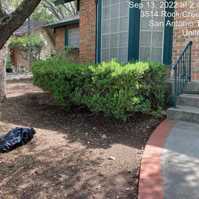 Cleanups by Jackson Lawn Care reviewed on March 4, 2025