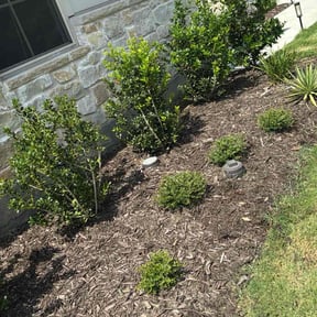 Flower Bed Weeding by M&M Lawn Care reviewed on July 26, 2022