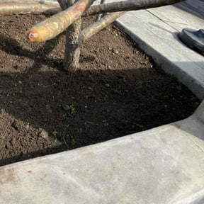 Flower Bed Weeding by Felix Alejos reviewed on May 23, 2022