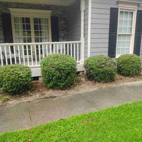 Bush Trimming by Reyes and sons construction reviewed on July 14, 2022