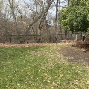 Leaf Removal by Olympus Outdoor Services reviewed on April 8, 2025