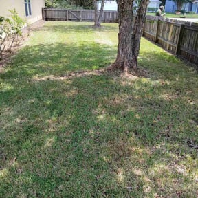 Flower Bed Weeding by Tree Top Lawn Services reviewed on August 1, 2025
