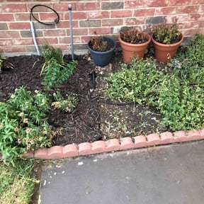 Flower Bed Weeding by A Lawn Service reviewed on December 21, 2024