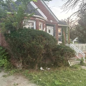 Bush Trimming by Robertson Lawn Care reviewed on August 25, 2024