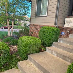 Bush Trimming by KL&R lawn care/ pressure washing reviewed on May 3, 2022