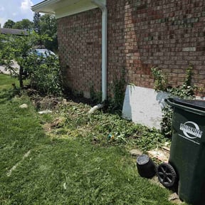 Flower Bed Weeding by TruGreen LawnCare reviewed on June 11, 2025
