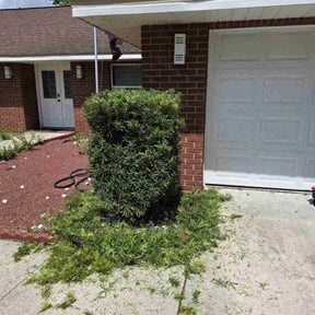 Bush Trimming by Schlener Lawn Care reviewed on June 20, 2022