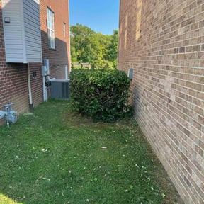 Bush Trimming by MowBros reviewed on May 20, 2025