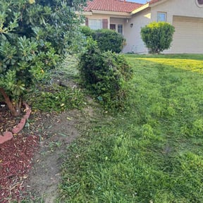 Cleanups by Curran Lawn Gurus reviewed on July 21, 2020
