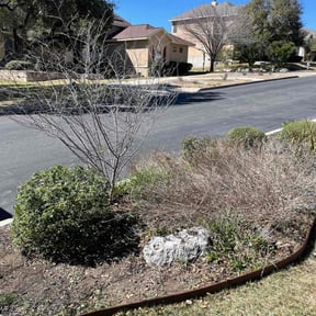 Bush Trimming by Mr Holmes Lawn Care Service reviewed on October 20, 2020