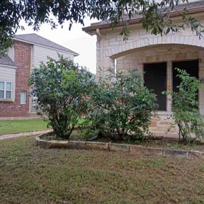Bush Trimming by A&B lawn Service reviewed on November 30, 2020