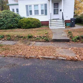 Leaf Removal by Lead the Way Lawncare LLC reviewed on June 3, 2022