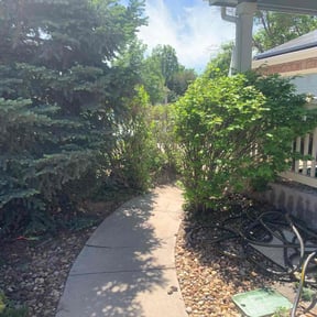 Bush Trimming by From the ground up 24-7 reviewed on April 27, 2022