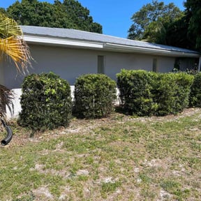 Bush Trimming by Eleazar Gavia reviewed on April 18, 2022