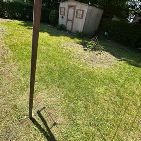Leaf Removal by Pineda landscaping reviewed on April 22, 2022