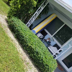 Bush Trimming by S&P Lawn maintenance LLC reviewed on July 28, 2022