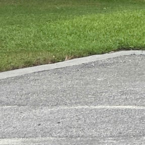 Weeding by Charleston Elite Lawn Care llc reviewed on November 3, 2022