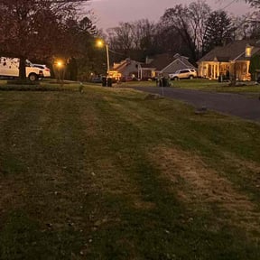Leaf Removal by Lopez services reviewed on May 8, 2025