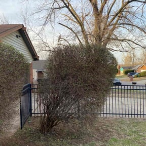 Bush Trimming by J&E Lawn care reviewed on September 26, 2024