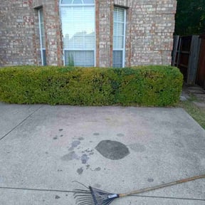 Bush Trimming by Valencia Landscaping reviewed on July 6, 2021