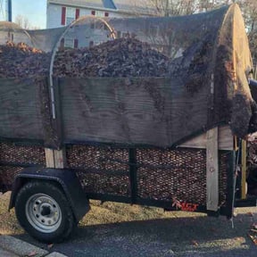 Leaf Removal by Big Chris's lawn care reviewed on April 18, 2022