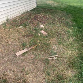 Flower Bed Weeding by The Bilingual Landscape Artist reviewed on June 10, 2022