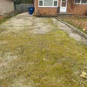 Flower Bed Weeding by Deonte Deas reviewed on May 16, 2022