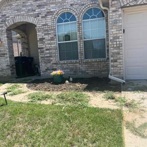 Weeding by LSLTAustin/SanAntonioEmerald reviewed on June 23, 2025