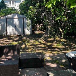 Leaf Removal by Personal Touch reviewed on July 28, 2025