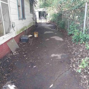 Leaf Removal by 3DM reviewed on April 4, 2022