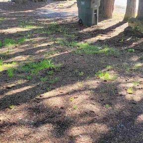 Cleanups by Kiki's lawn care reviewed on July 8, 2022