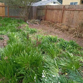 Cleanups by Back To Eden Lawn Service reviewed on June 29, 2020