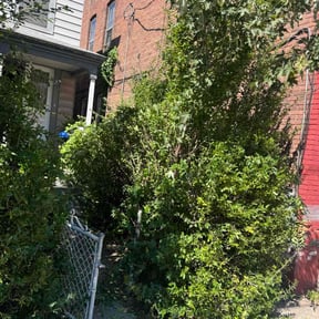 Bush Trimming by Ras property Management reviewed on October 20, 2021