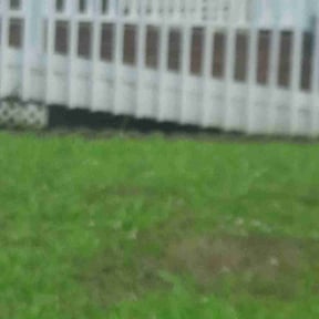 Weeding by J&J Landscaping Detroit reviewed on June 4, 2022