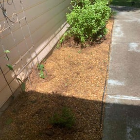 Flower Bed Weeding by Morel Lawn & tree service reviewed on June 22, 2022
