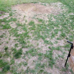 Cleanups by SOLID LANDSCAPING reviewed on September 25, 2020