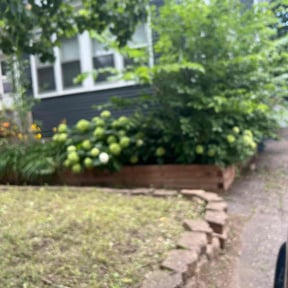 Weeding by Blue Line Landscaping reviewed on July 8, 2022