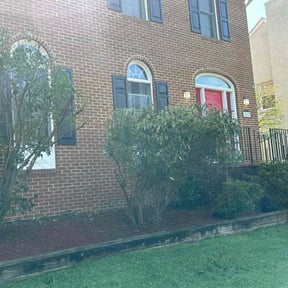 Bush Trimming by Valmont Landscaping and Construction reviewed on June 1, 2022