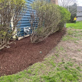 Landscaping by Yard Dr. LLC reviewed on June 15, 2022